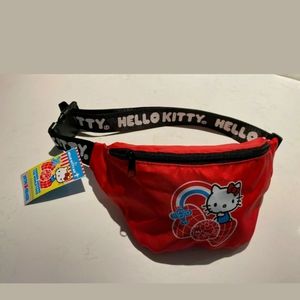 RARE Hello Kitty Friends Around the World Tour